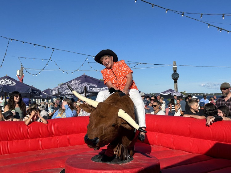 Mechanical Bulls